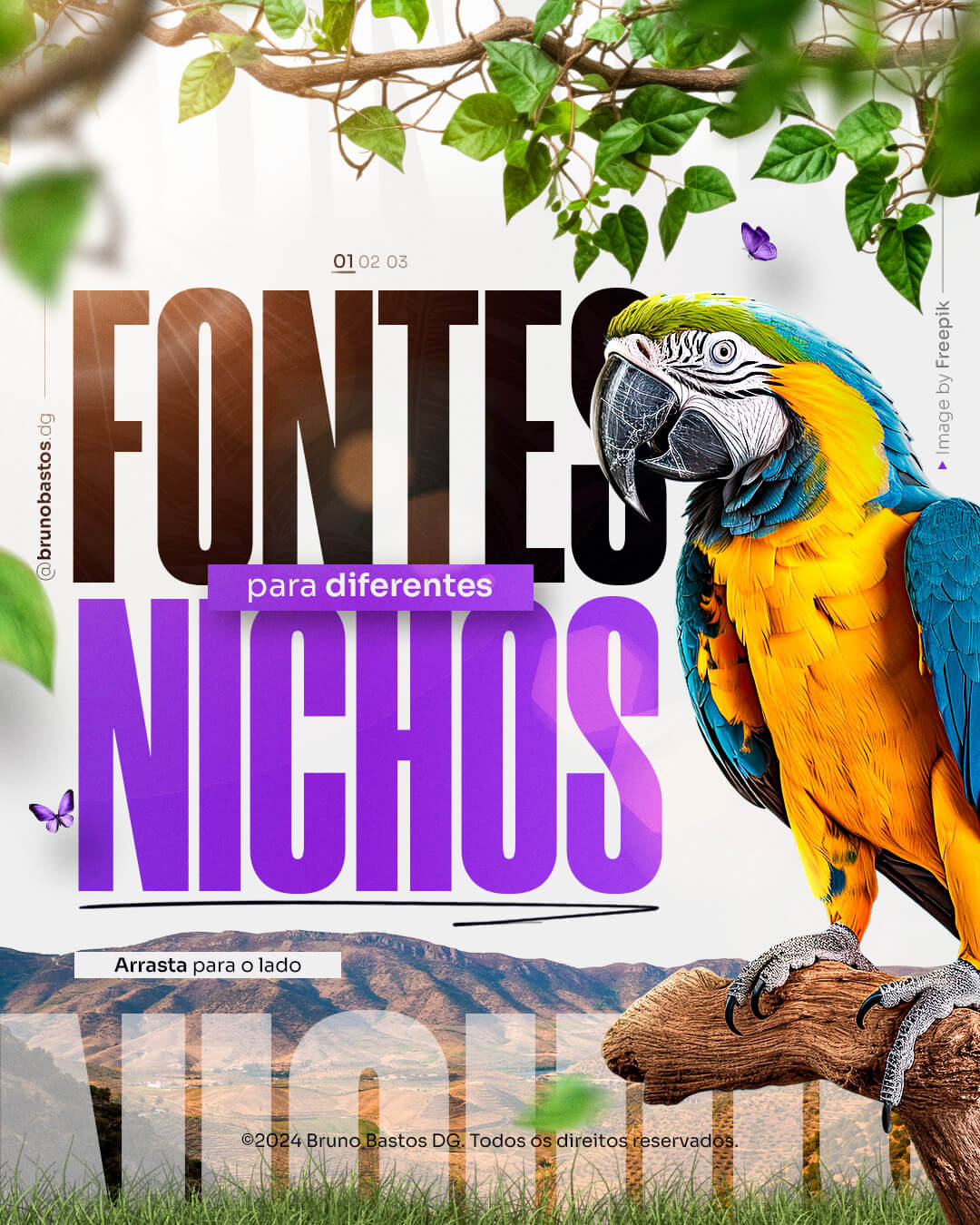 Fontes-para-diversos-nichos_01